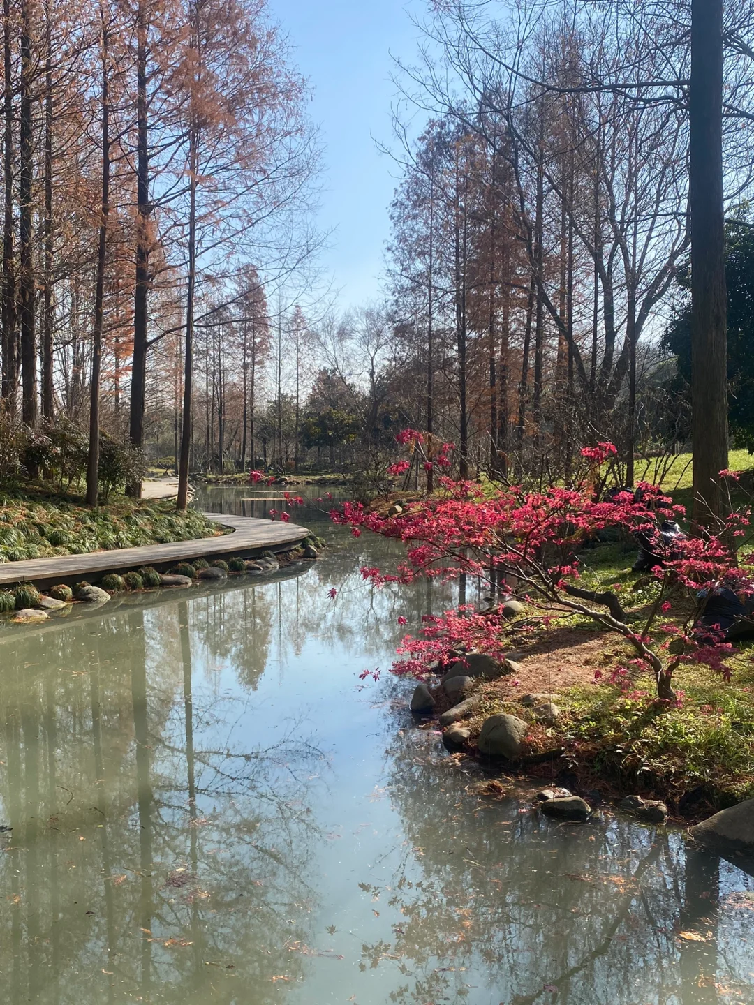 南京大学生0元go扬州