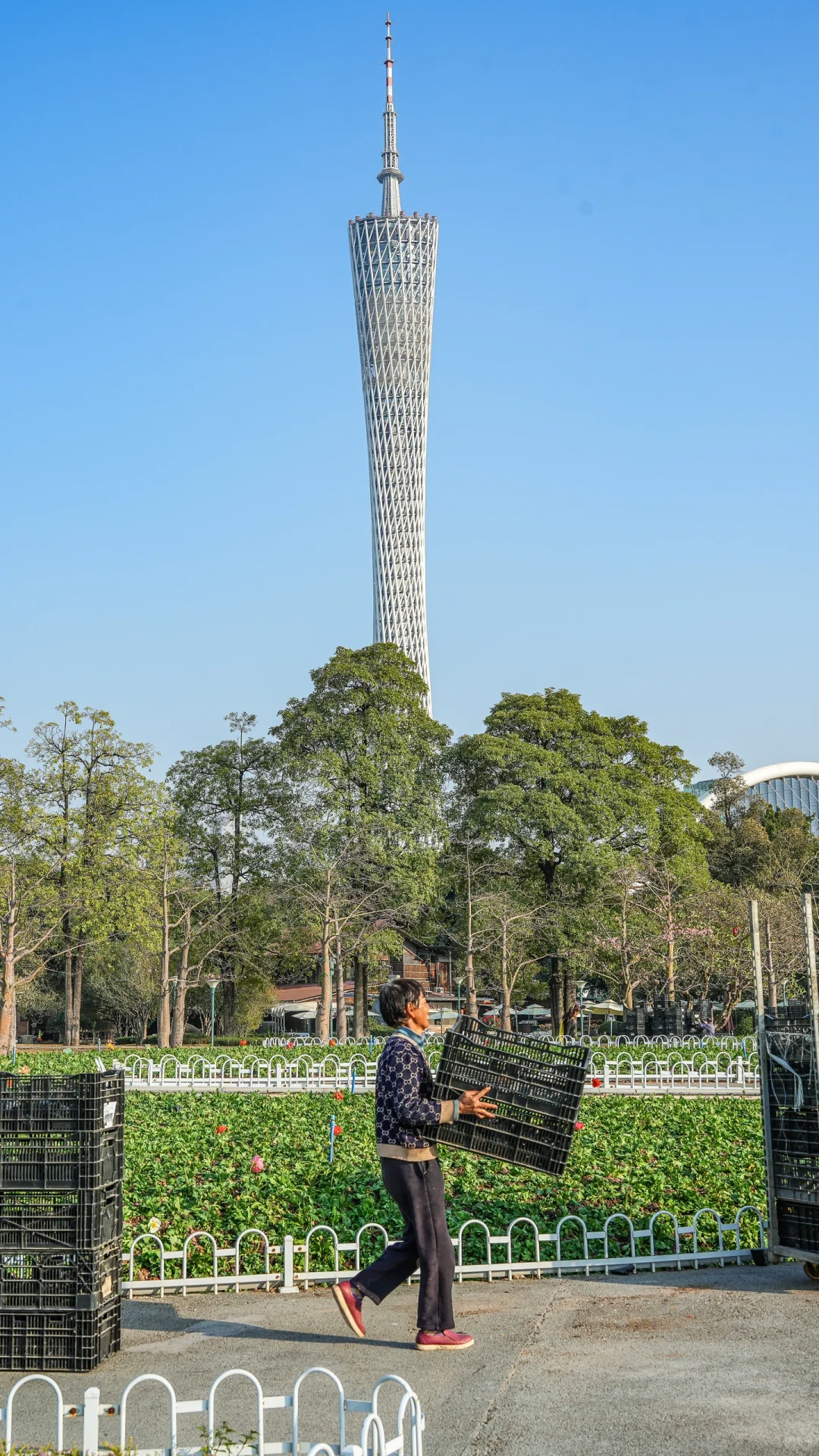 冬日暖阳下漫步珠江边