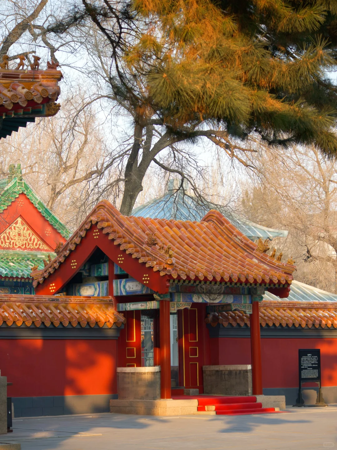 哈尔滨📍适合免费逛一下午的地方（32/100）