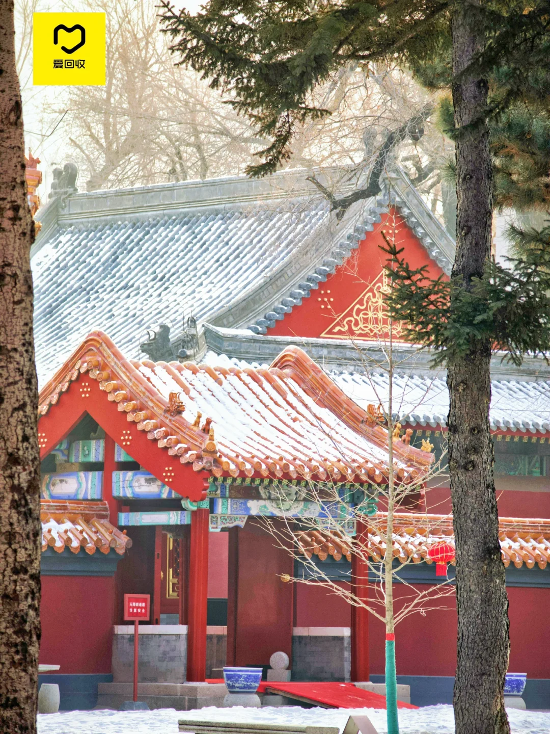 哈尔滨📍适合免费逛一下午的地方（32/100）