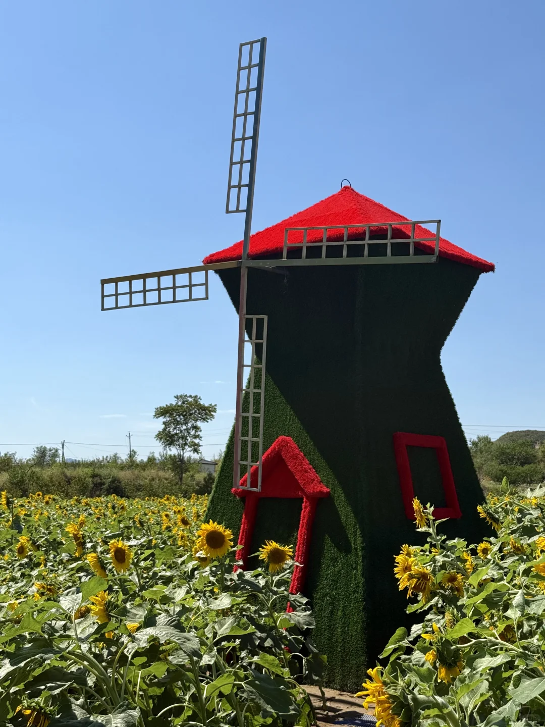 邯郸周边游｜免费的❗️值得去❗️