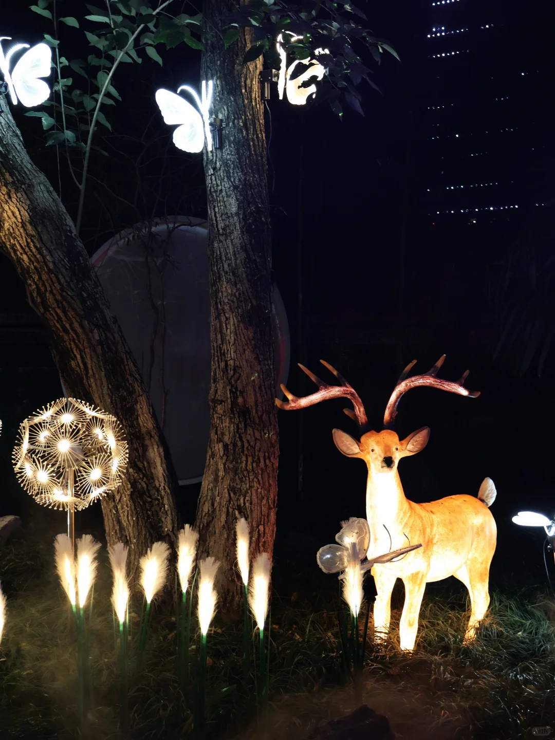 晴川阁夜游记｜带哼哼领略武汉璀璨夜景