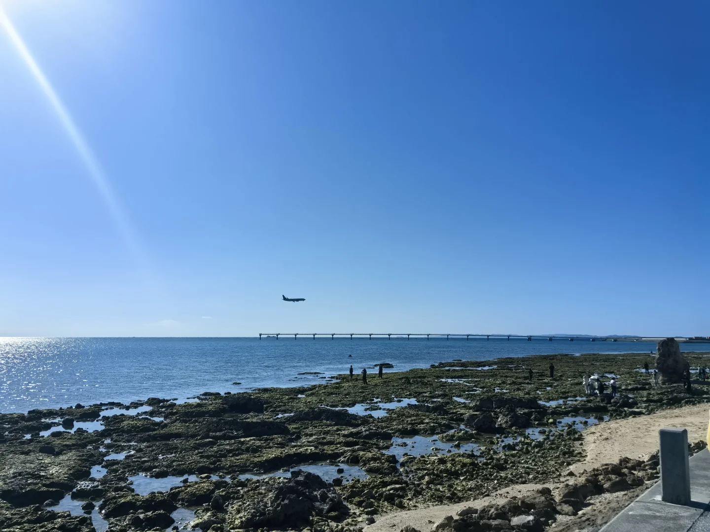 海洋馆光谱号🚢老少皆宜❤冲绳5天4晚