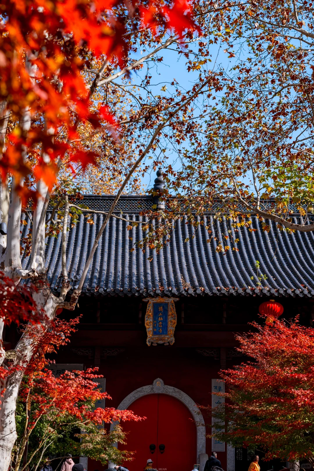 人生建议，秋天来南京旅行不会让你失望的！