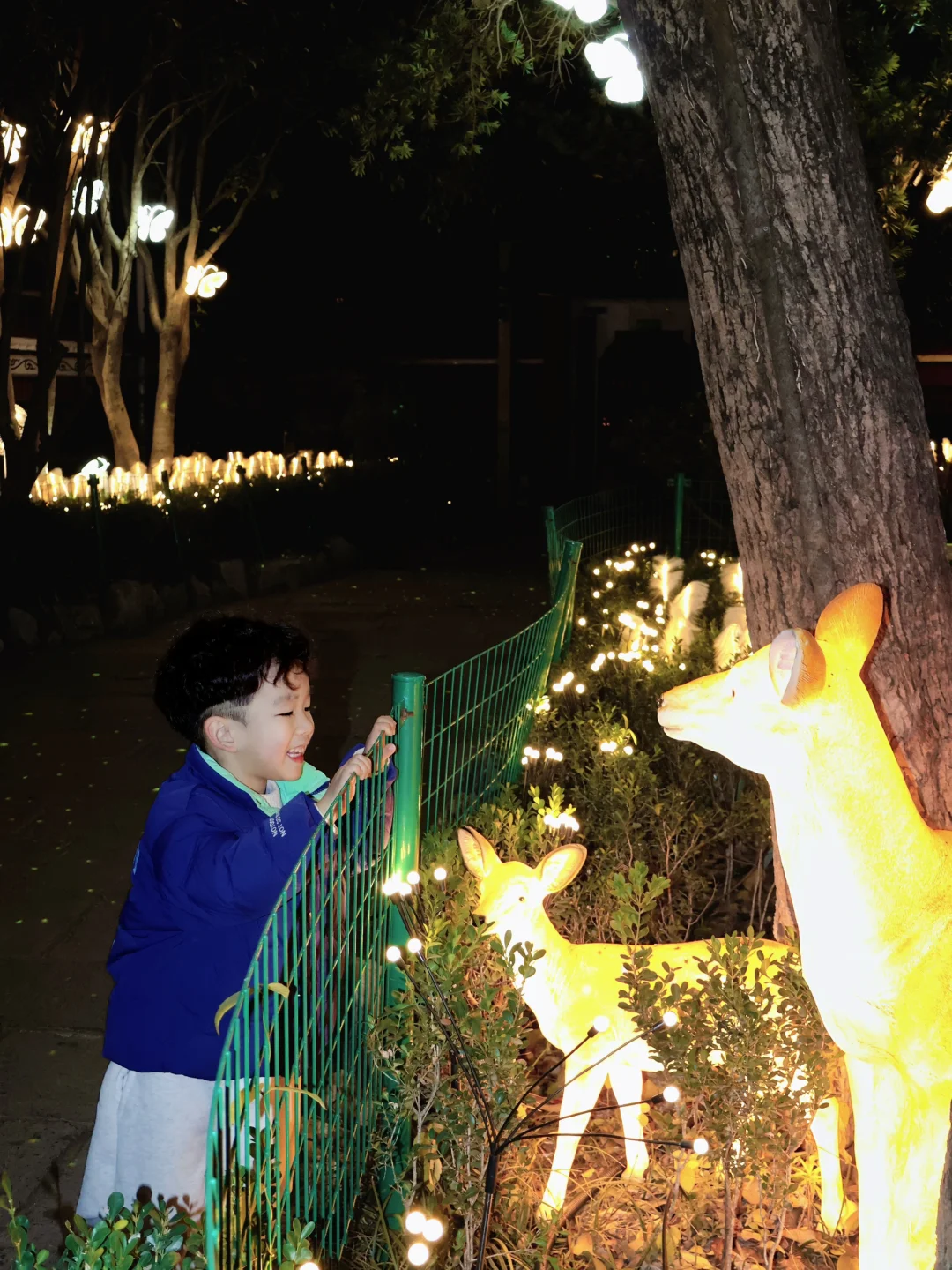 晴川阁夜游记｜带哼哼领略武汉璀璨夜景