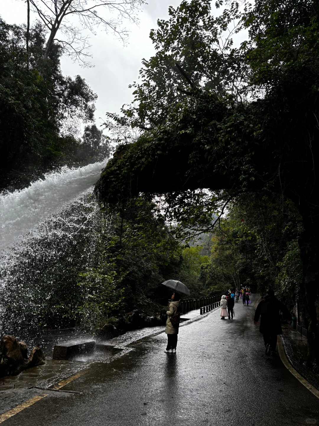 1.20📍贵州已回，荔波小七孔就这😓