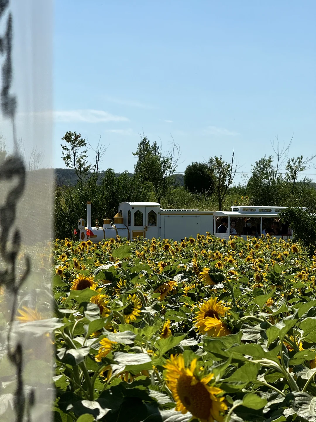 邯郸周边游｜免费的❗️值得去❗️