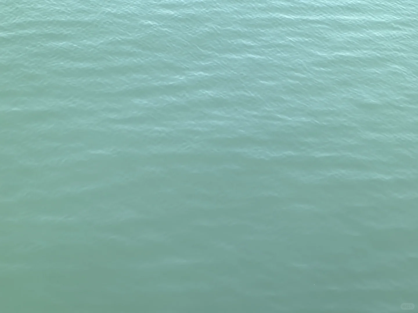 冬日去看浪漫的海