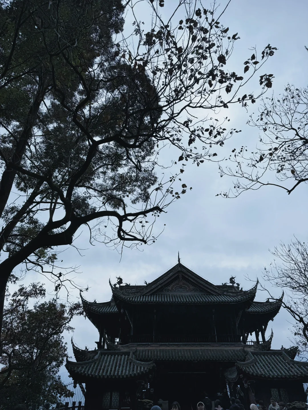 听劝‼️带爸妈不要直接去都江堰和熊猫谷