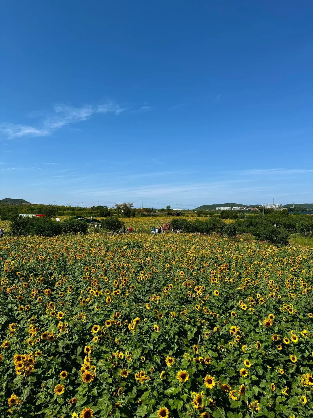 邯郸周边游｜免费的❗️值得去❗️