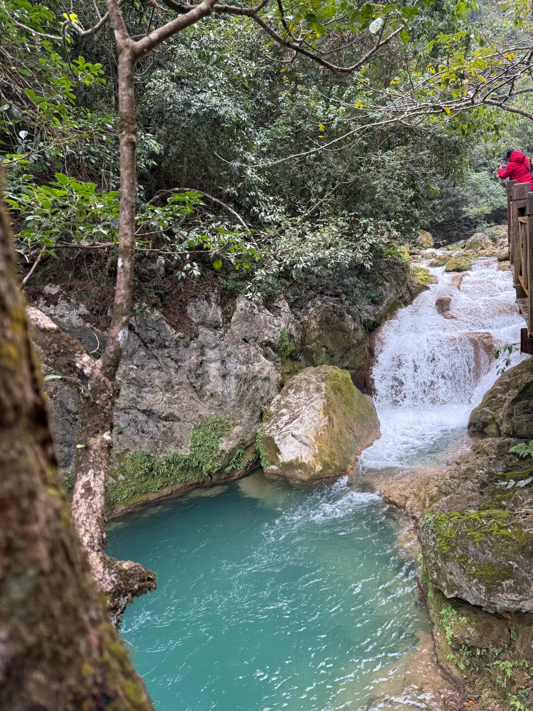 1.20📍贵州已回，荔波小七孔就这😓