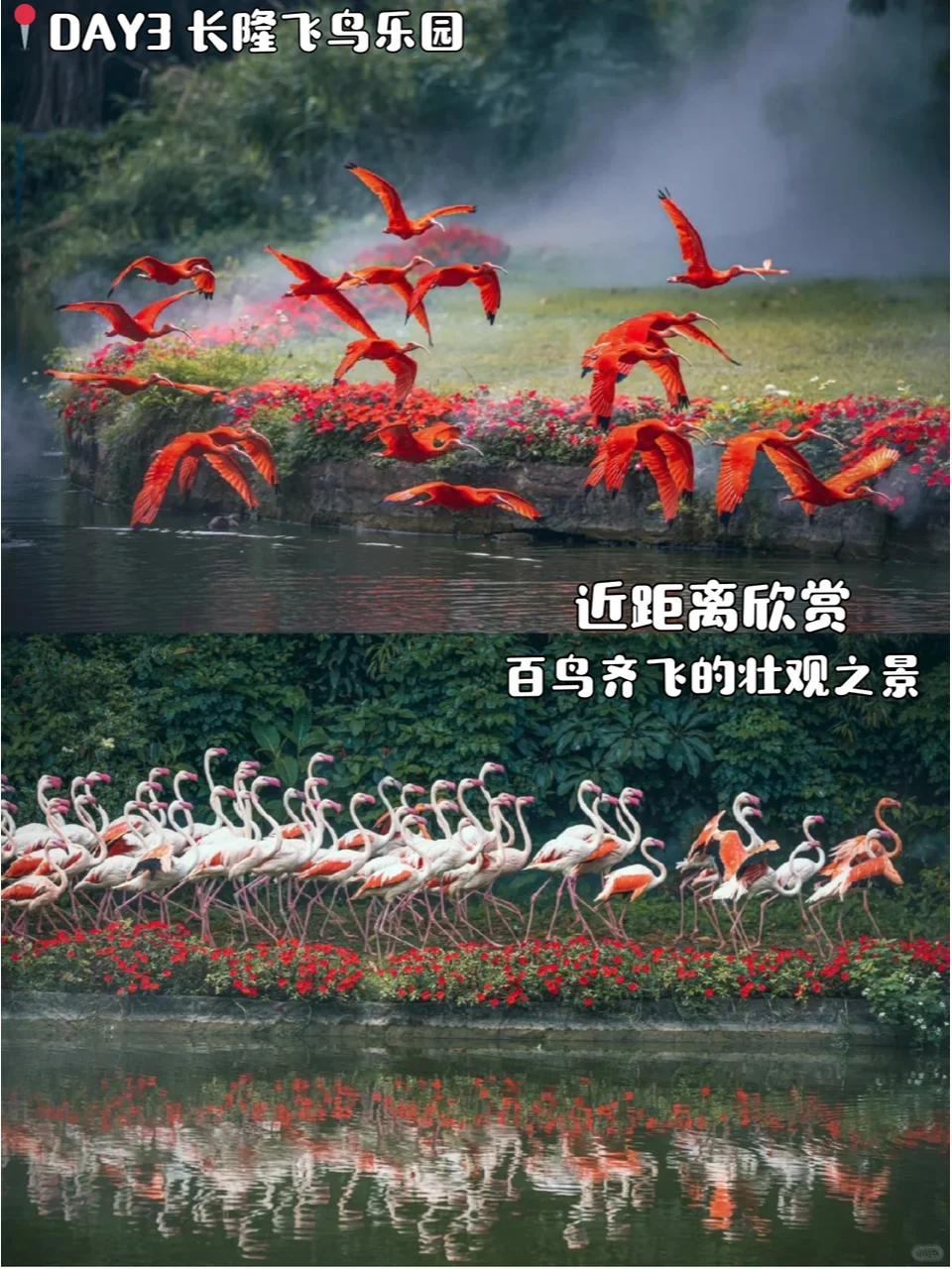 广州旅游攻略📍5天4晚跟着玩一定不会错!