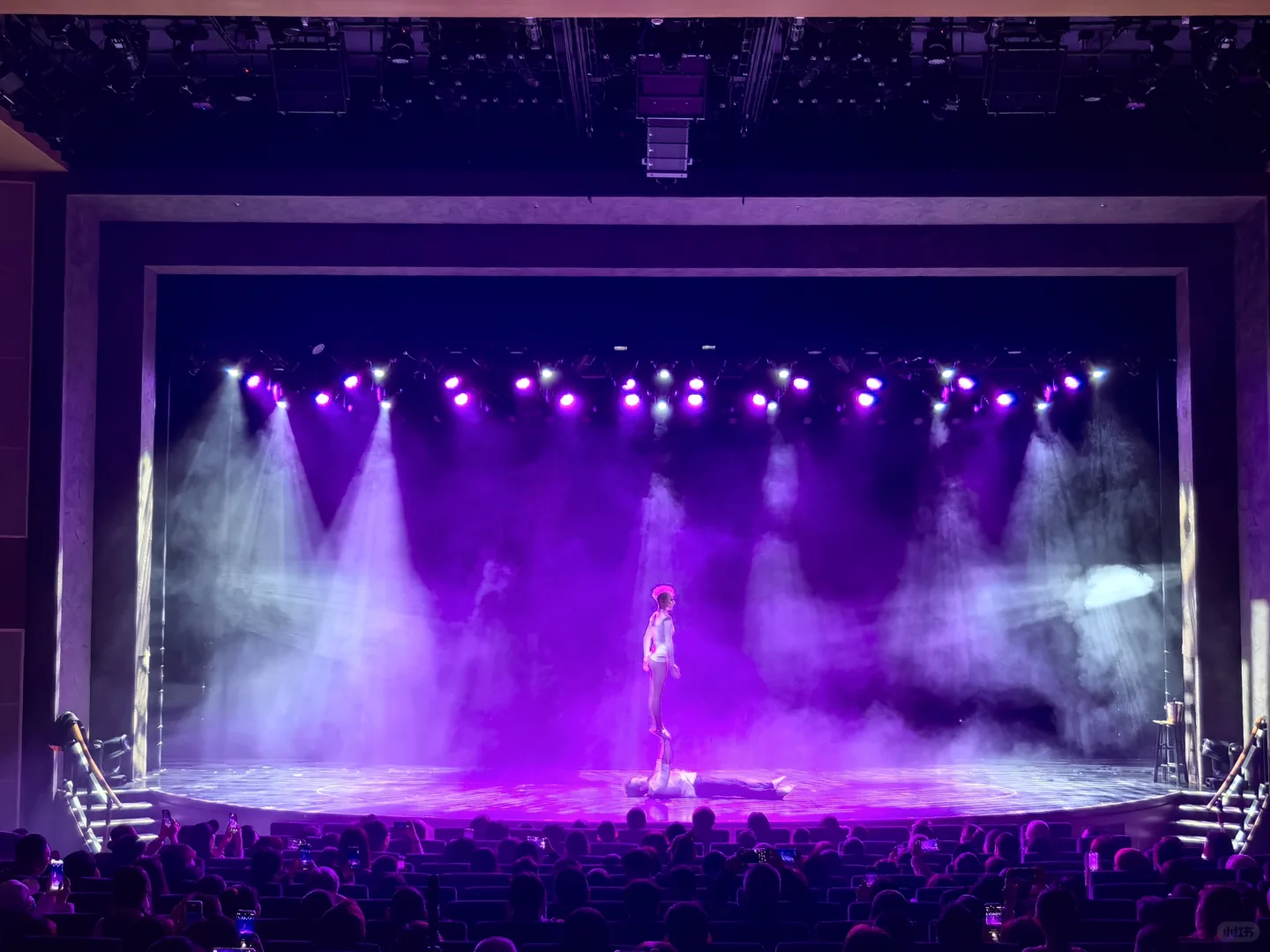 海洋馆光谱号🚢老少皆宜❤冲绳5天4晚