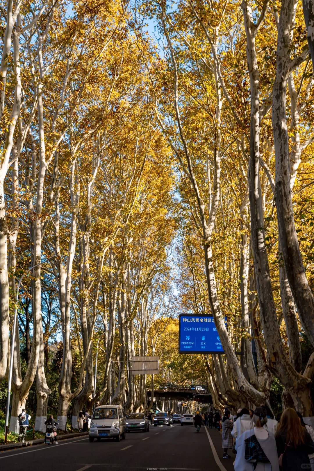 人生建议，秋天来南京旅行不会让你失望的！