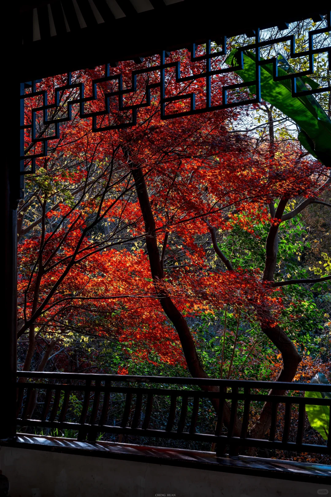 人生建议，秋天来南京旅行不会让你失望的！