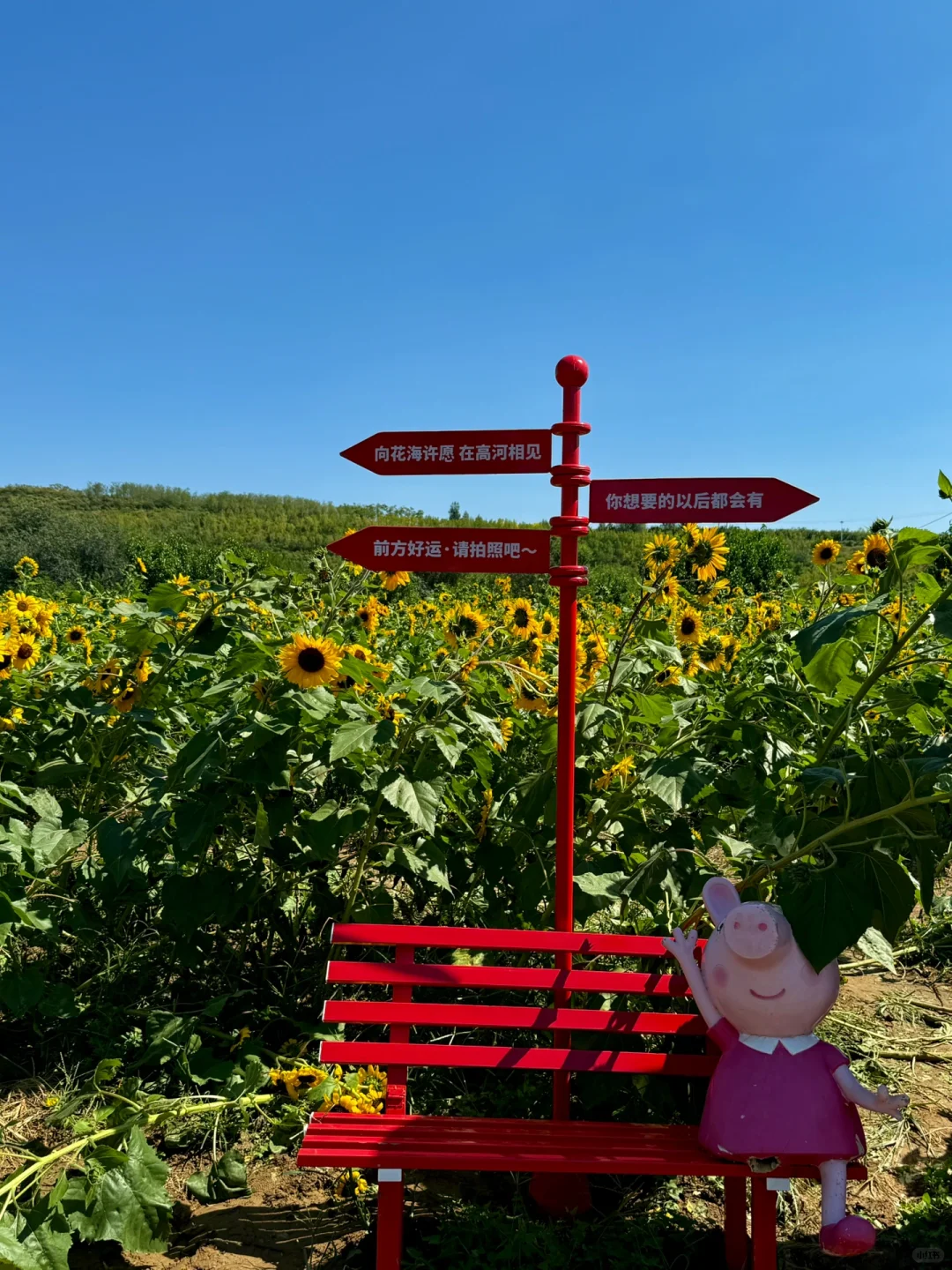 邯郸周边游｜免费的❗️值得去❗️