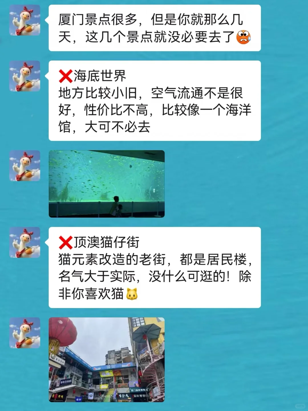 春节去厦门前，听点本地人的大实话吧…