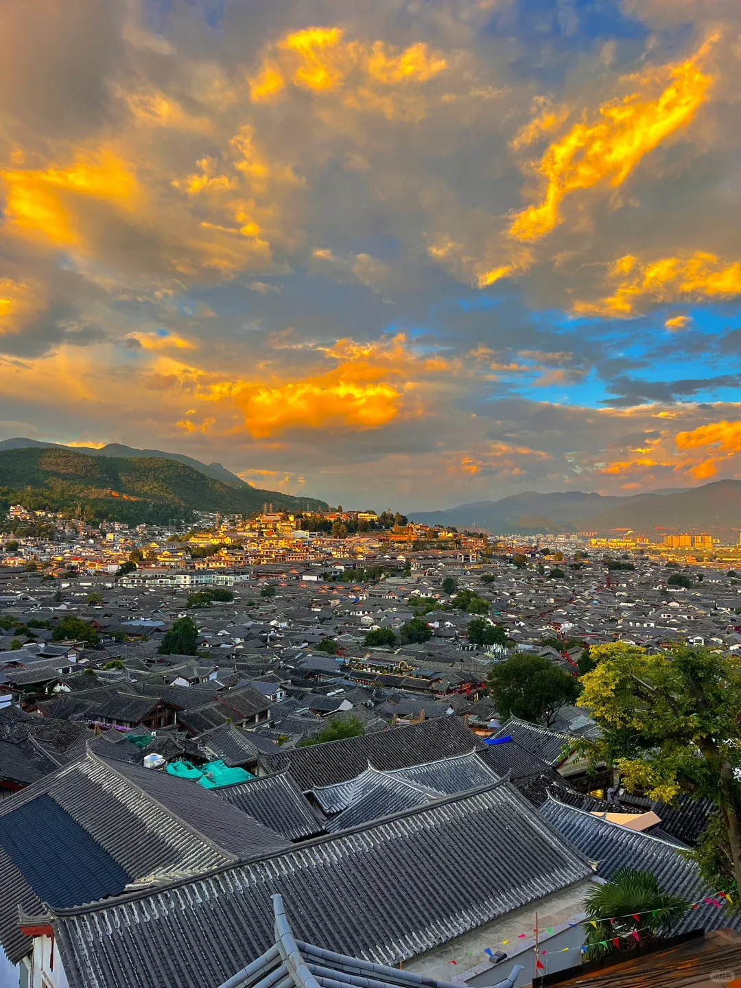 确定了，春节就去云南旅游，温暖舒适