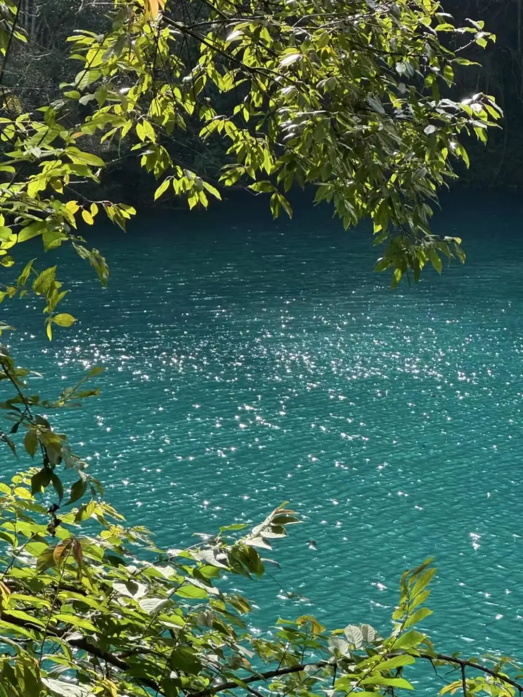 12.20📍贵州已回，真心建议要来的姐妹😅