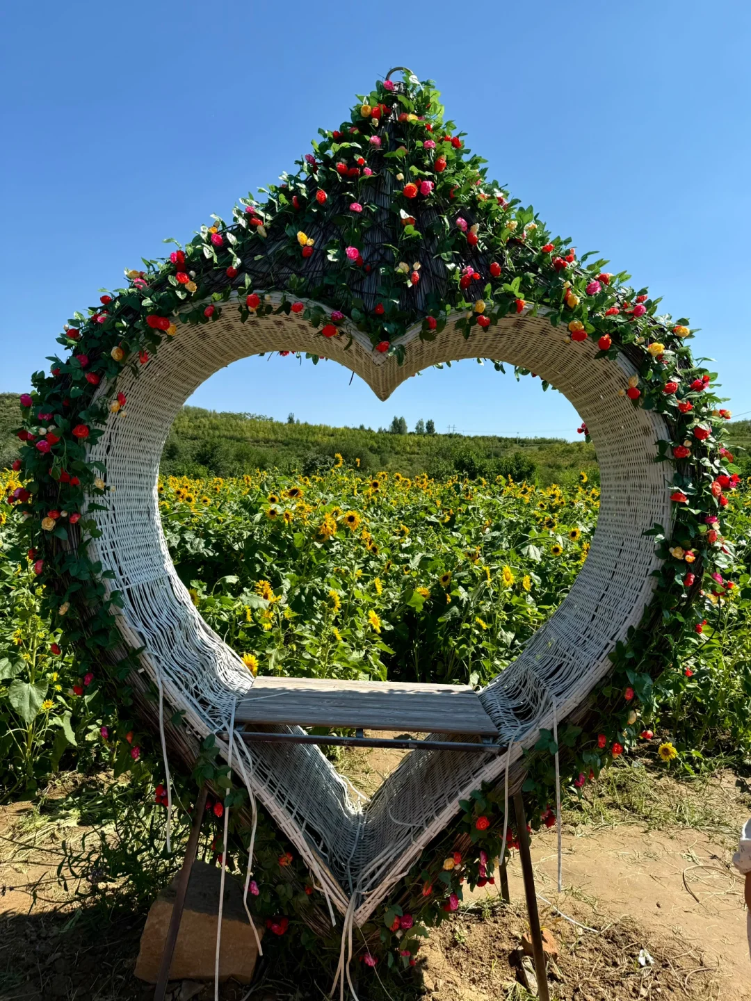 邯郸周边游｜免费的❗️值得去❗️