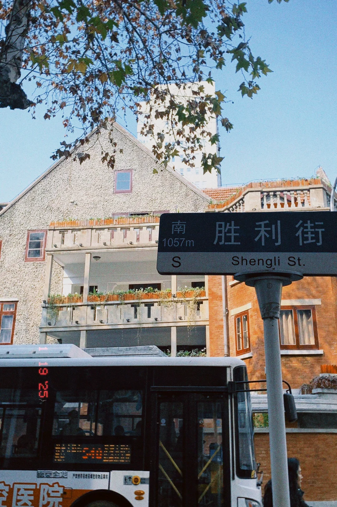 武汉你真的特别美呀