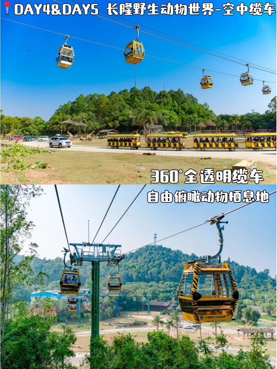 广州旅游攻略📍5天4晚跟着玩一定不会错!