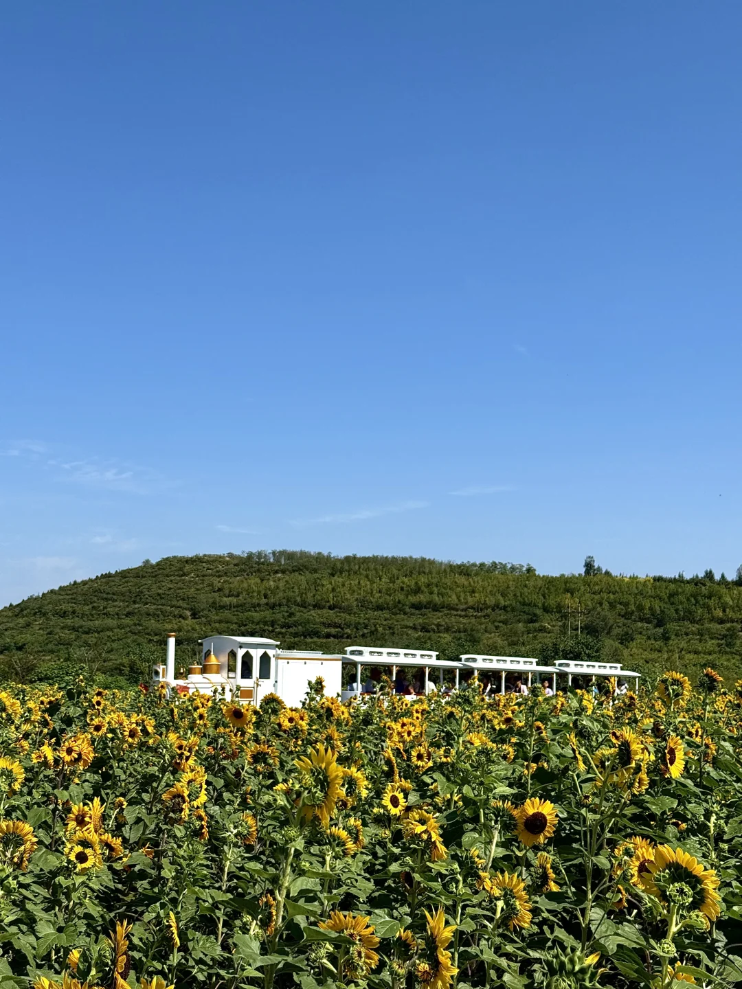 邯郸周边游｜免费的❗️值得去❗️