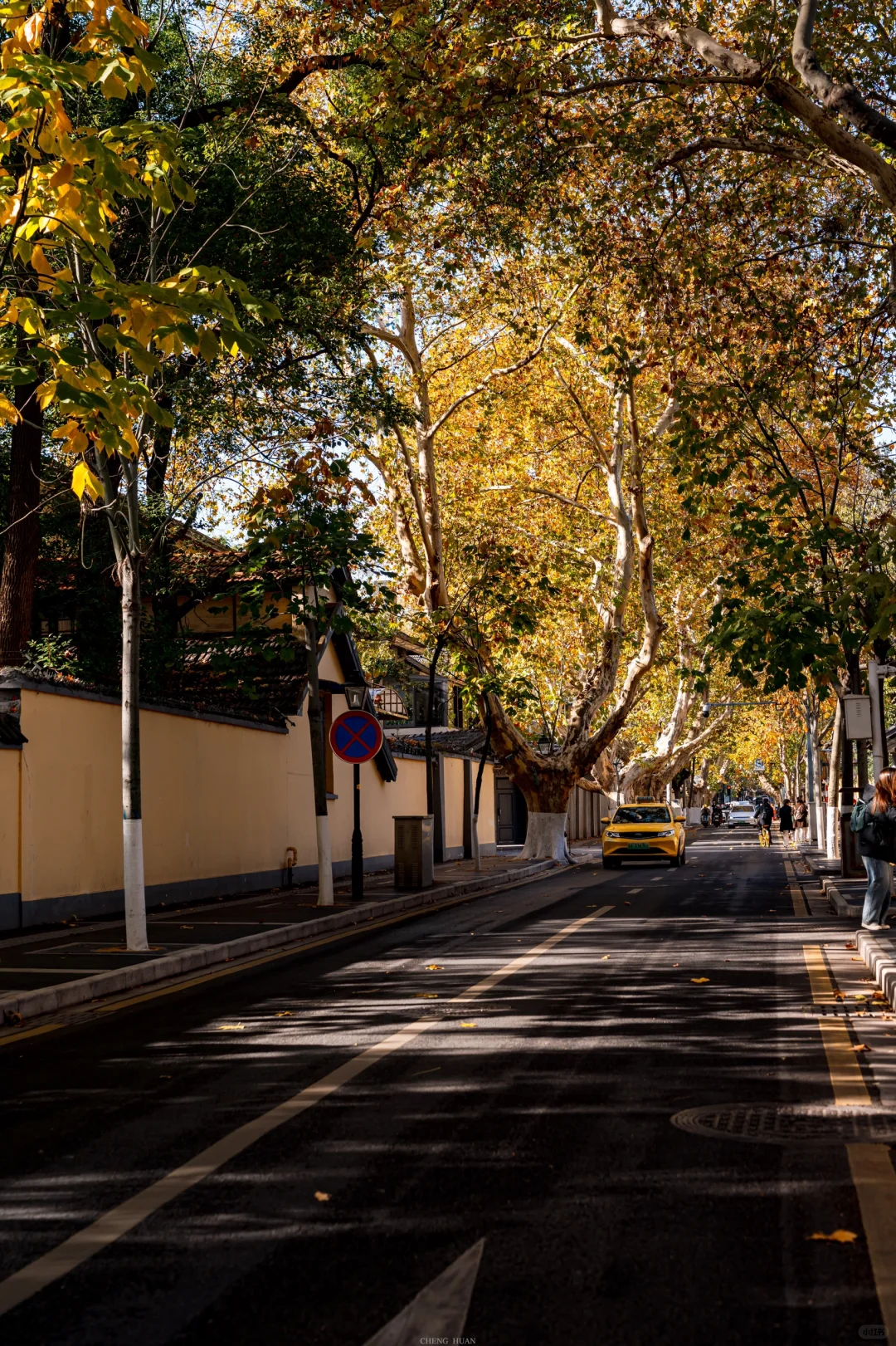 人生建议，秋天来南京旅行不会让你失望的！