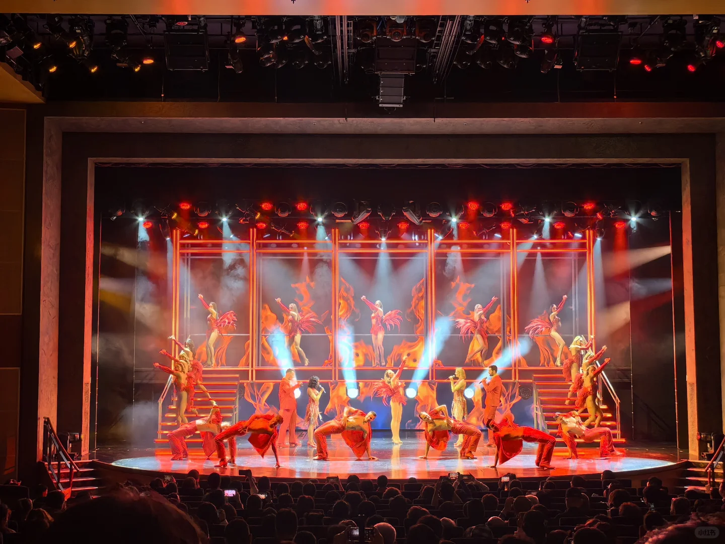 海洋馆光谱号🚢老少皆宜❤冲绳5天4晚