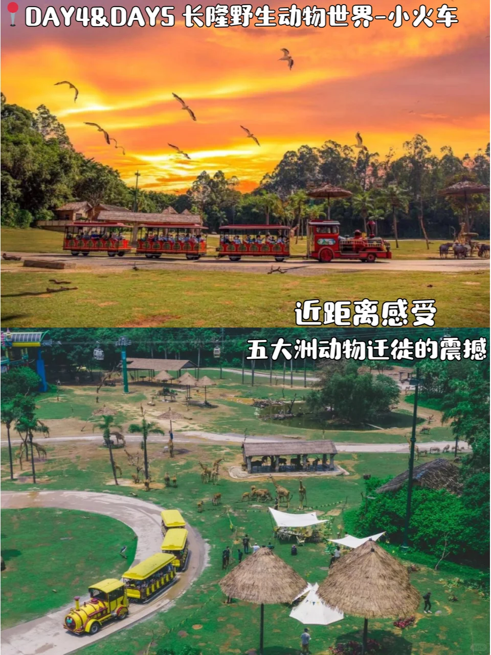 广州旅游攻略📍5天4晚跟着玩一定不会错!