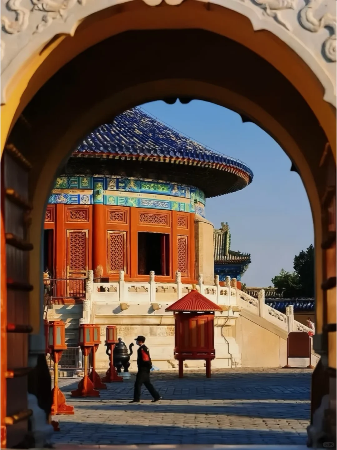 南方小土豆北京抗冻已回，我的建议是😓