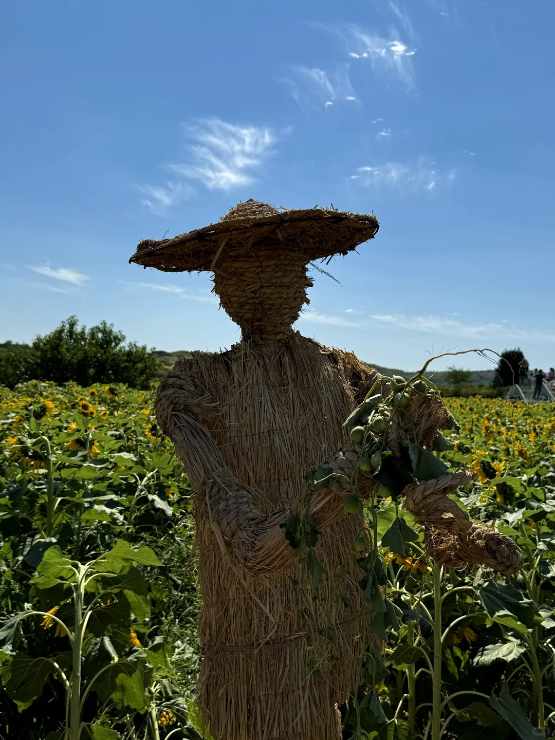 邯郸周边游｜免费的❗️值得去❗️