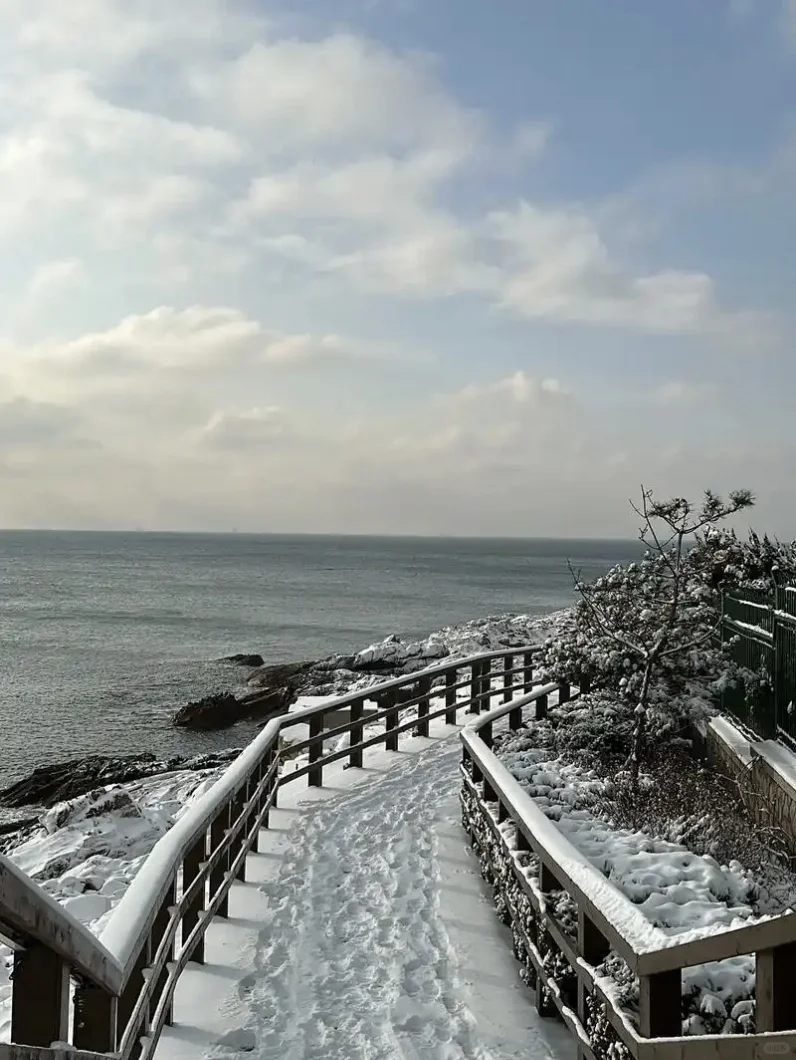 人生建议❄️一定要去青岛看雪❄️❄️