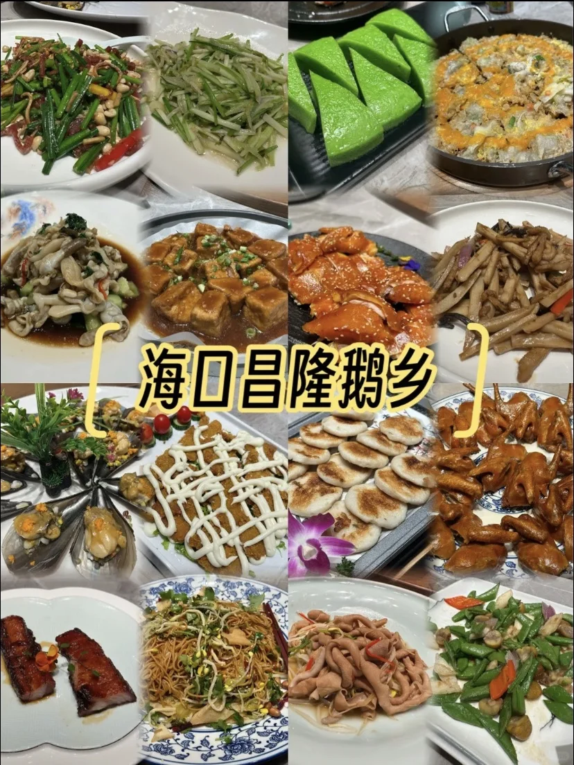 海口亲子游｜这个必打卡景点🔥推荐