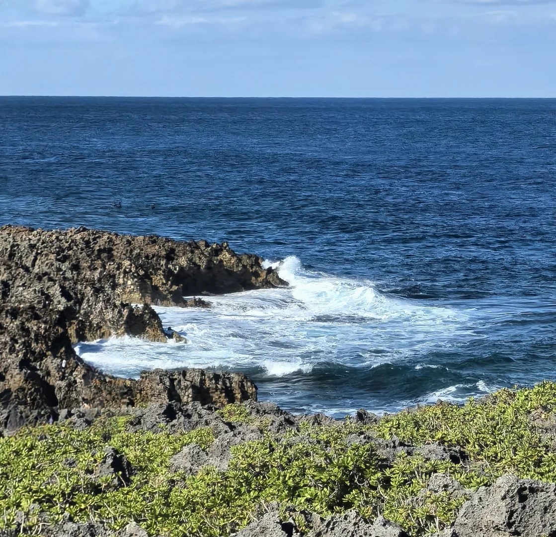 海洋馆光谱号🚢老少皆宜❤冲绳5天4晚