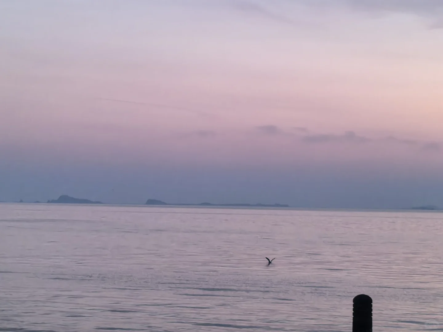 冬日去看浪漫的海