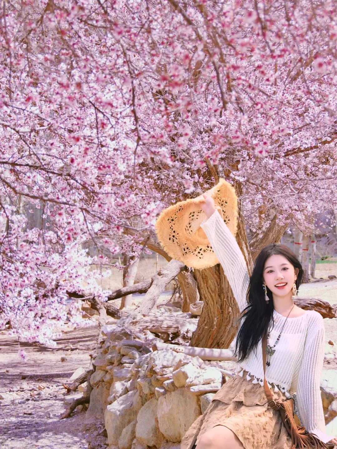 接下来三四月的新疆，将要被杏花刷屏啦🌸