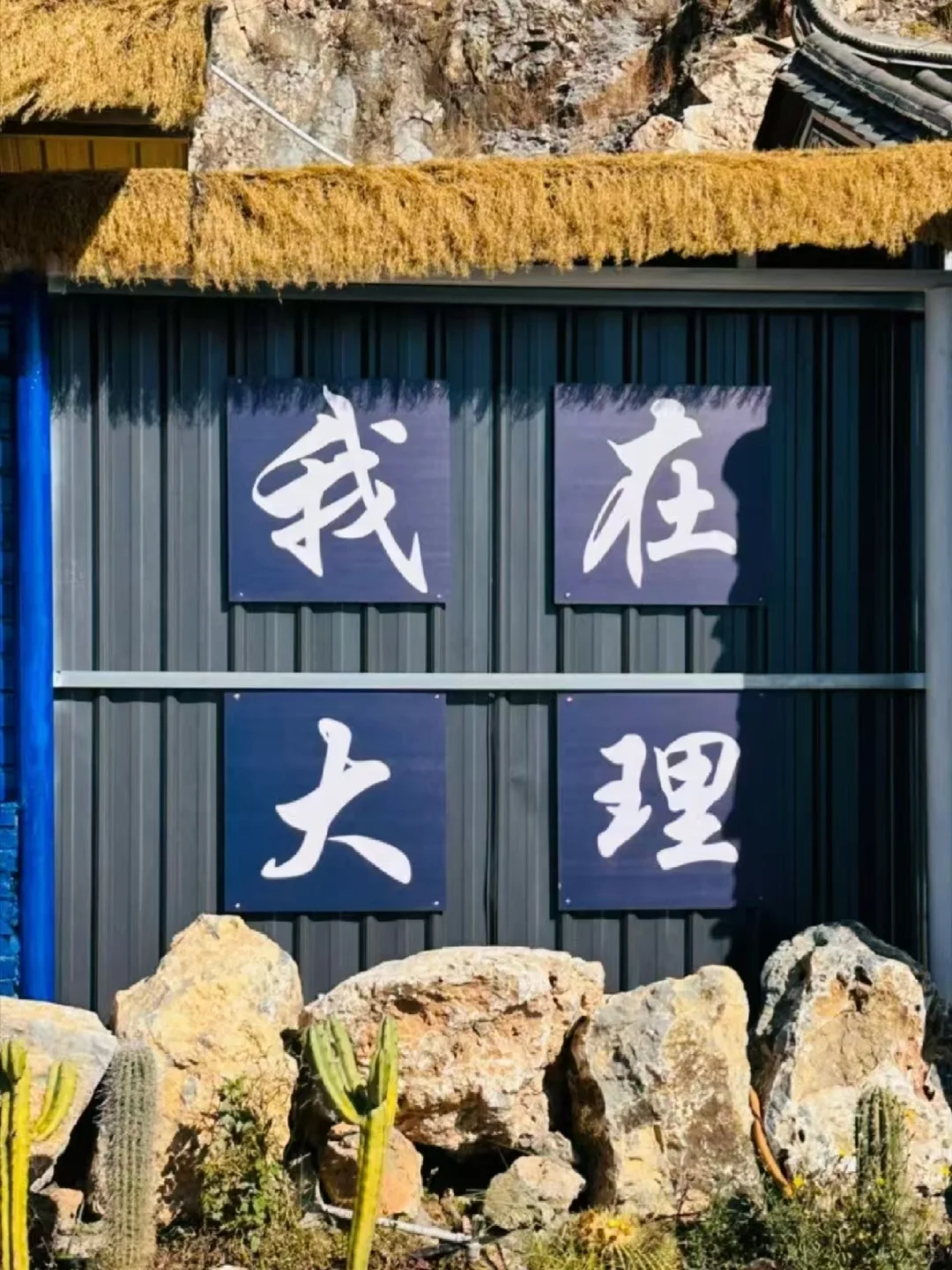 确定了，春节就去云南旅游，温暖舒适