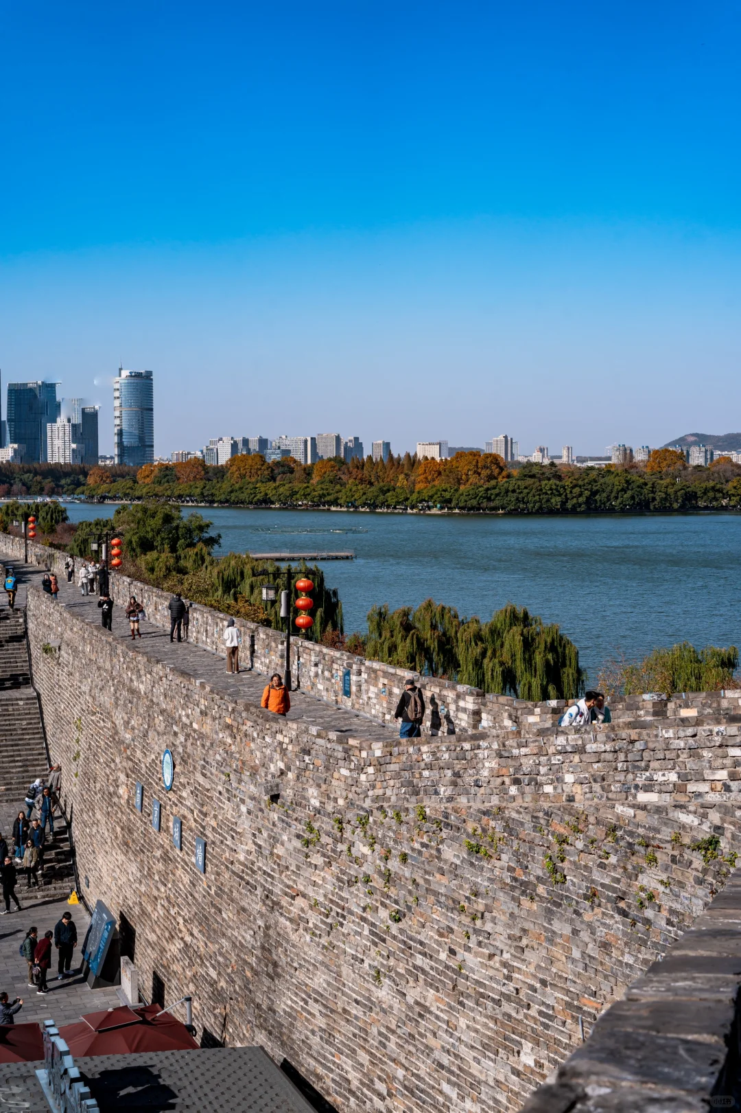 人生建议，秋天来南京旅行不会让你失望的！