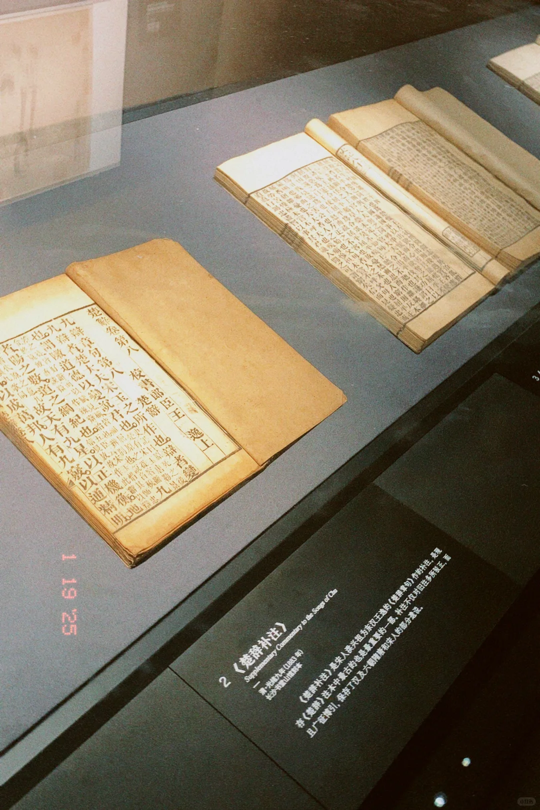 武汉你真的特别美呀