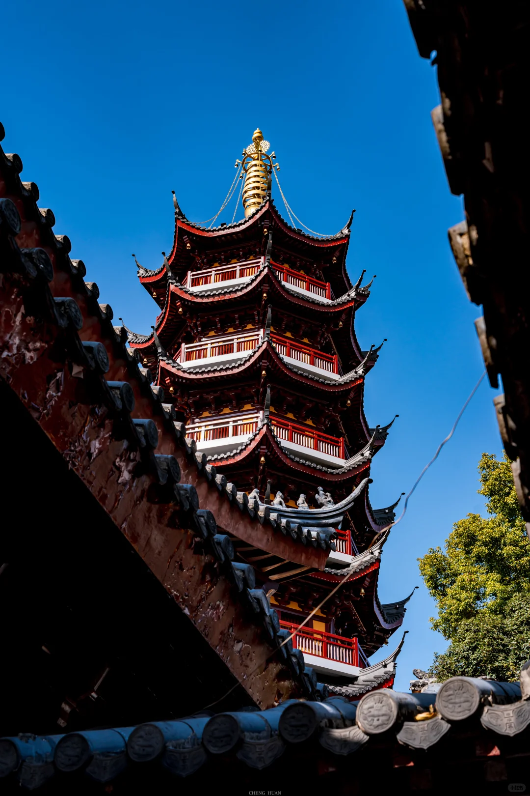 人生建议，秋天来南京旅行不会让你失望的！