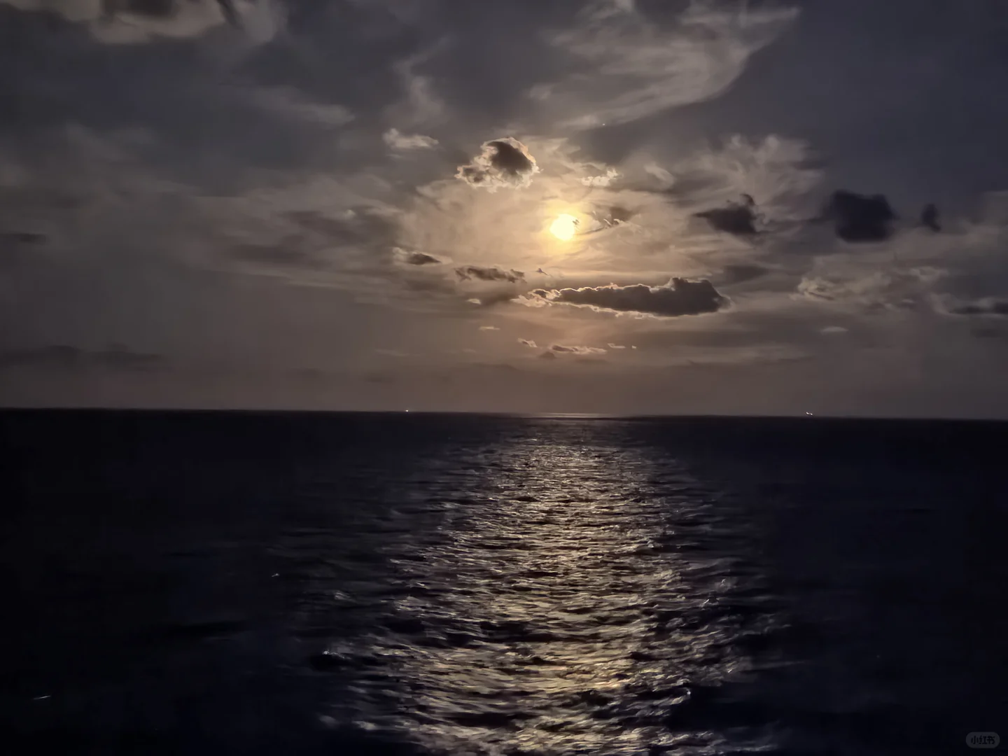 海洋馆光谱号🚢老少皆宜❤冲绳5天4晚