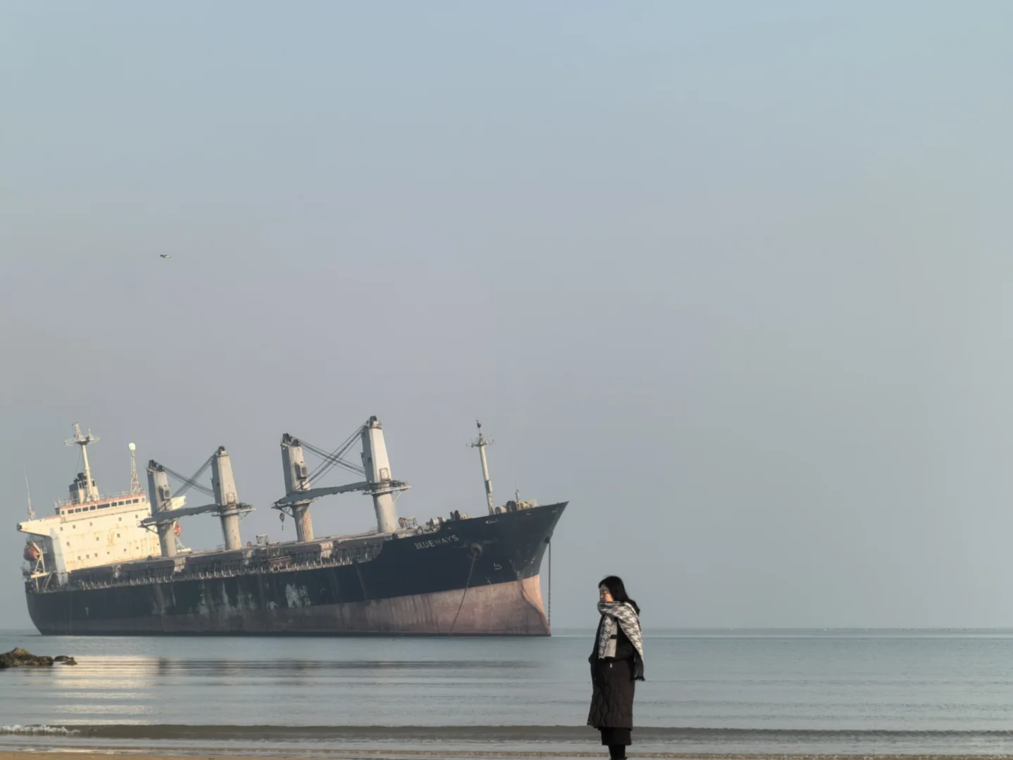 冬日去看浪漫的海