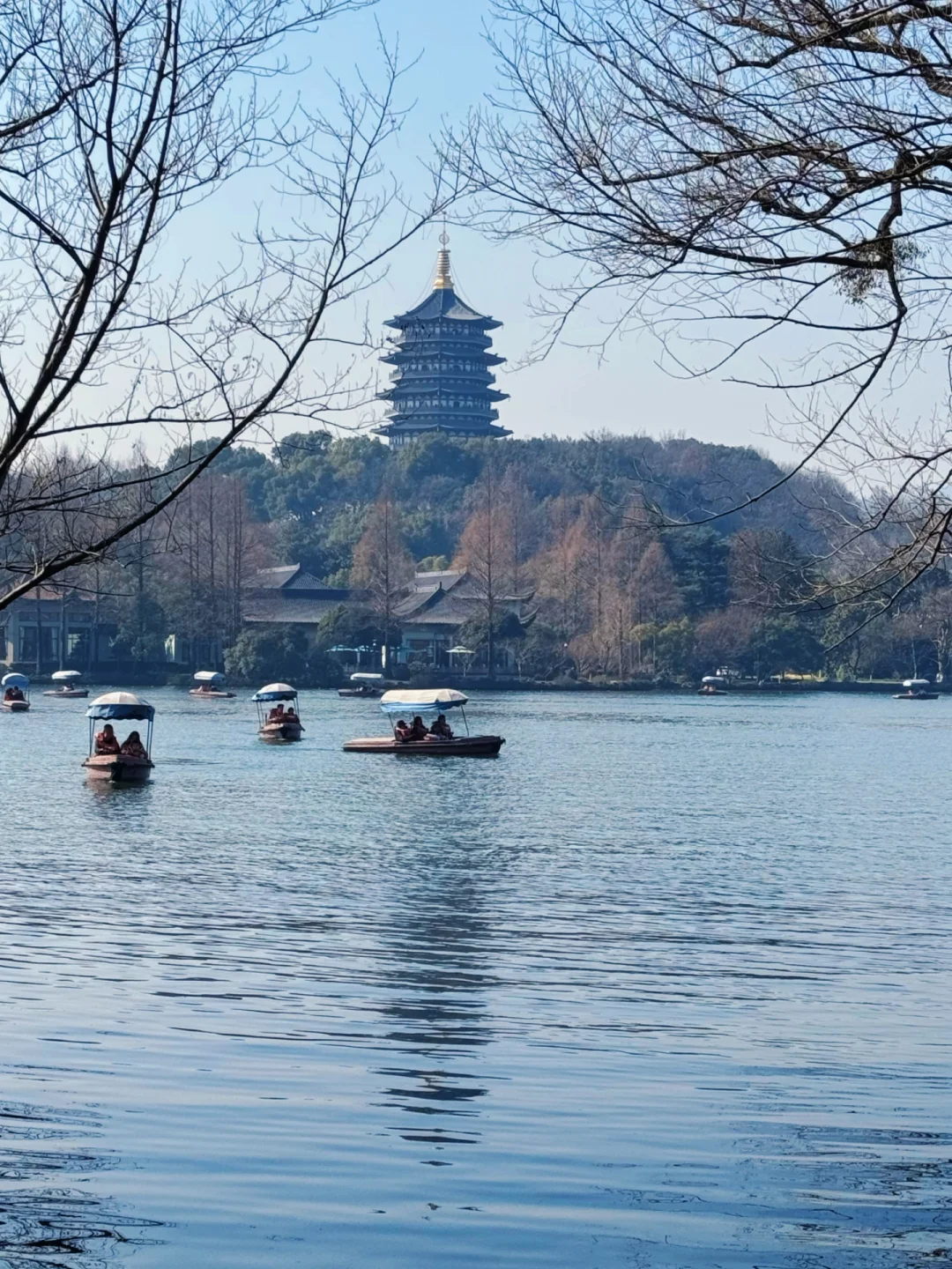 杭州遛娃|今天的西湖太美了,看一眼就……