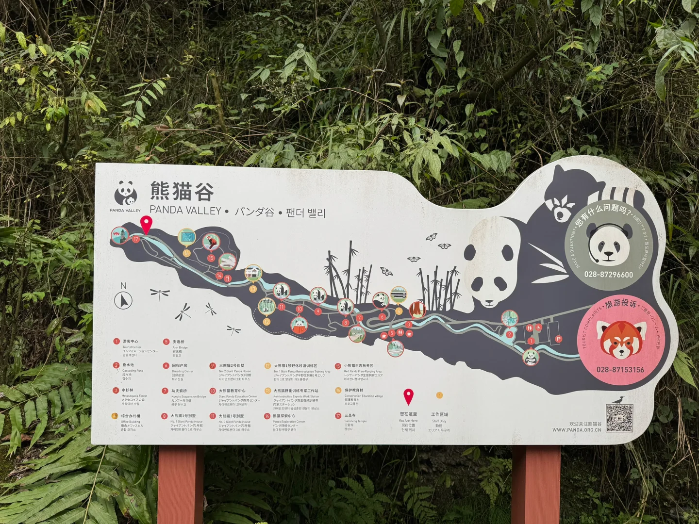 听劝‼️带爸妈不要直接去都江堰和熊猫谷