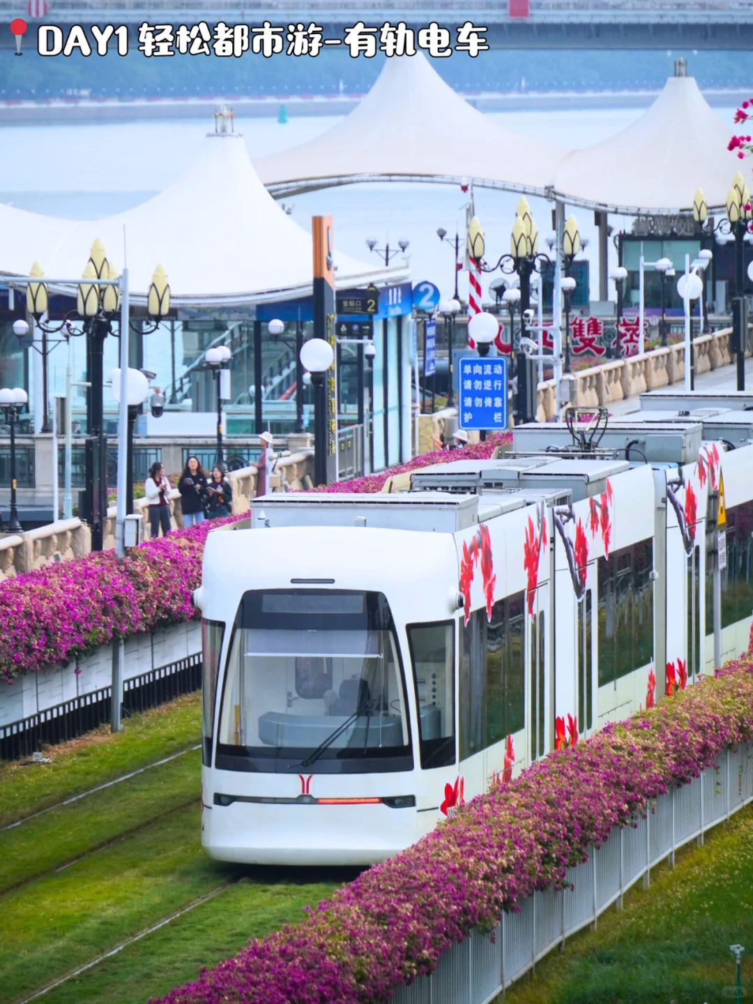 广州旅游攻略📍5天4晚跟着玩一定不会错!