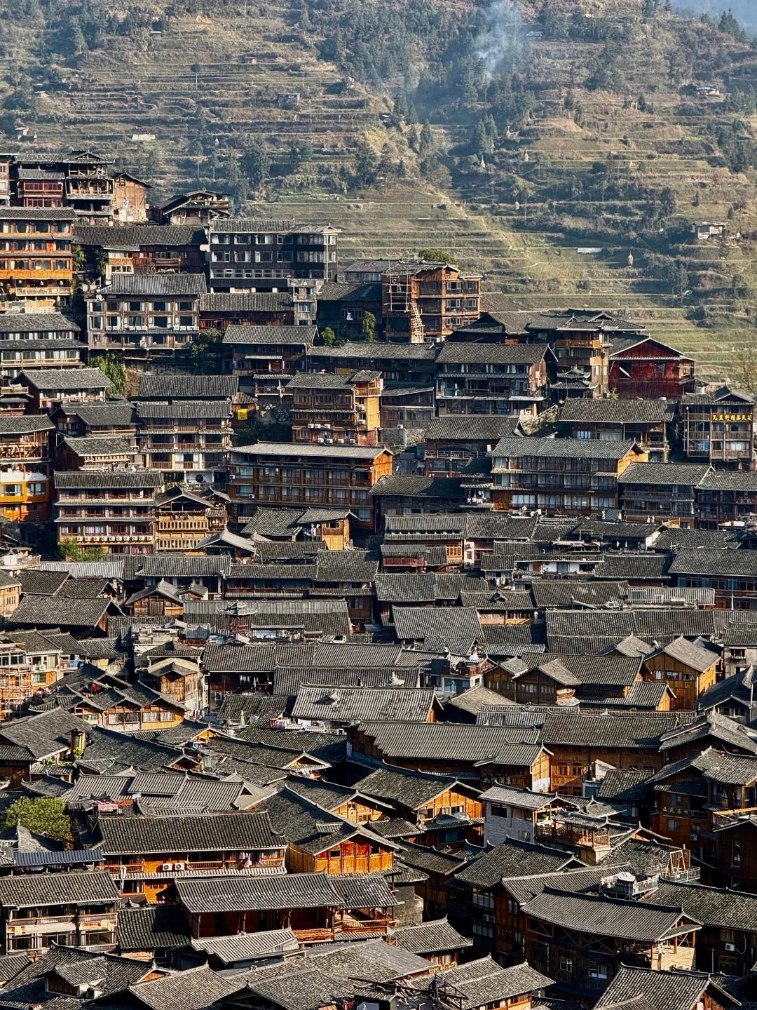 1.20📍贵州已回，荔波小七孔就这😓