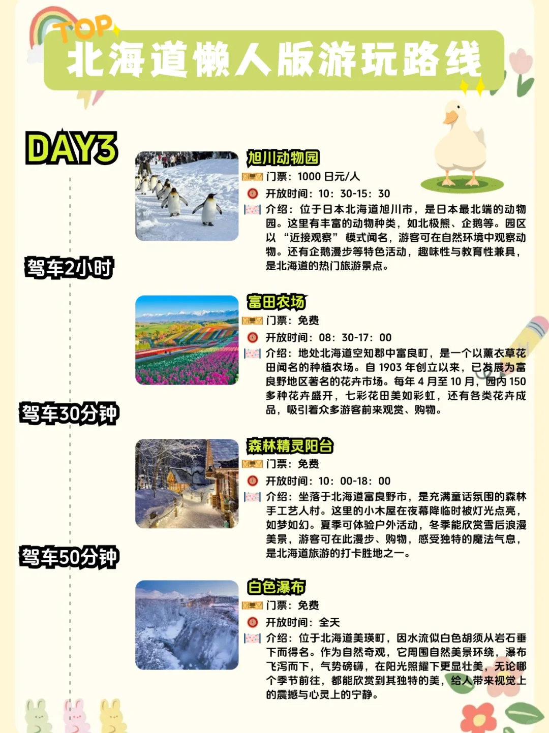 按头安利!6 天玩遍北海道,宝藏路线来了