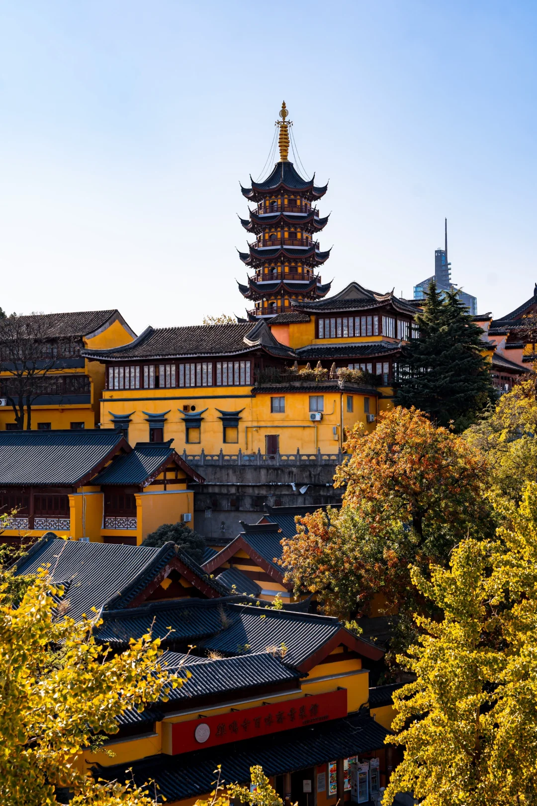 人生建议，秋天来南京旅行不会让你失望的！