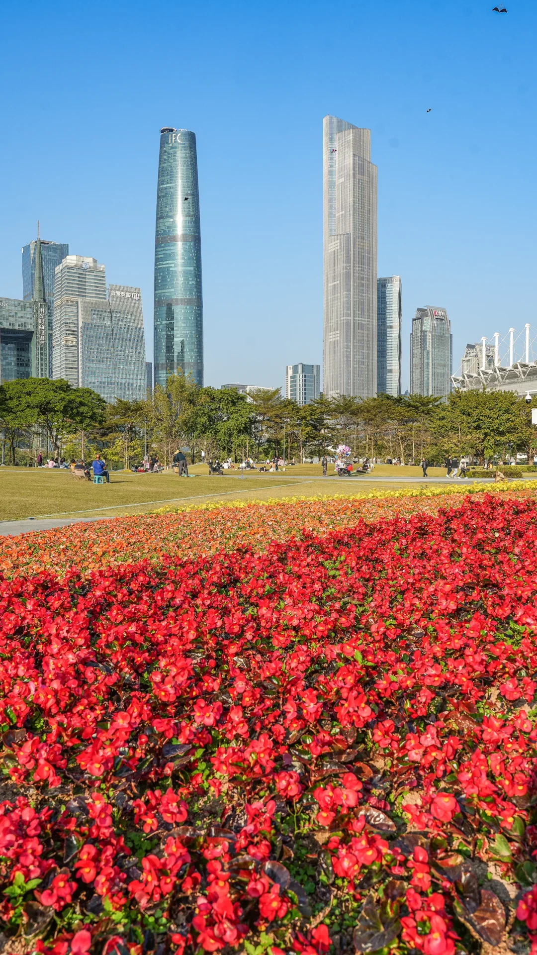 冬日暖阳下漫步珠江边